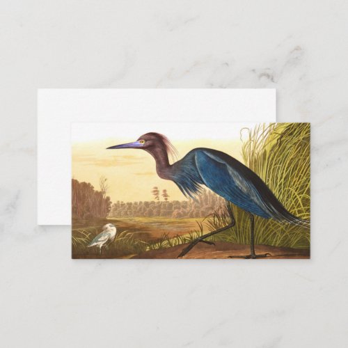 Blue Crane or Heron by John James Audubon Business Card