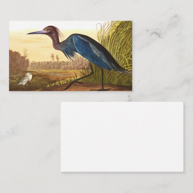 Blue Crane or Heron by John James Audubon Business Card (Front/Back)