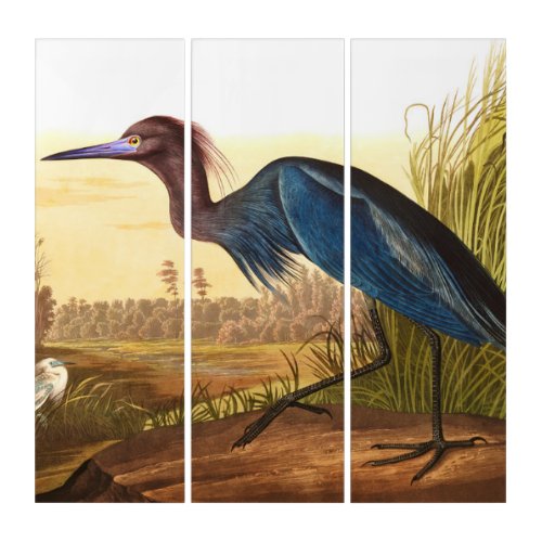 Blue Crane or Heron by John James Audubon Triptych