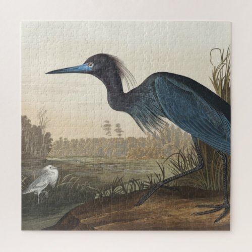 Blue Crane or Heron from Birds of America Jigsaw Puzzle