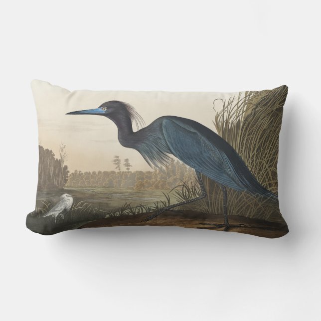 Blue Crane or Heron from Birds of America Lumbar Pillow (Front)