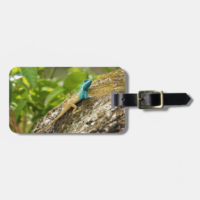 Blue-Crested Lizard Calotes Mystaceus Luggage Tag (Front Horizontal)