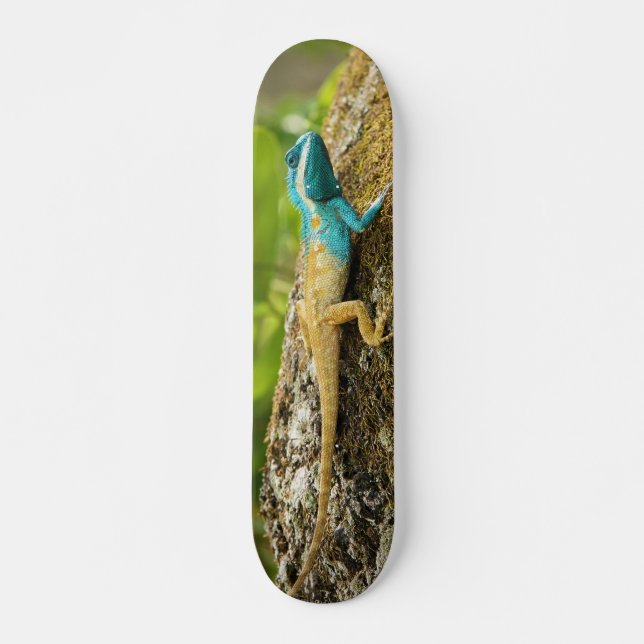 Blue-Crested Lizard Calotes Mystaceus Skateboard Deck (Front)