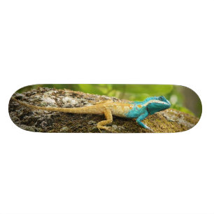 Blue-Crested Lizard Calotes Mystaceus Skateboard Deck