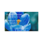Blue Crocus Business Cards