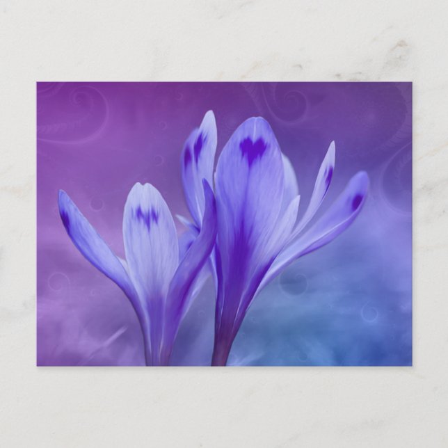 blue crocus postcard (Front)