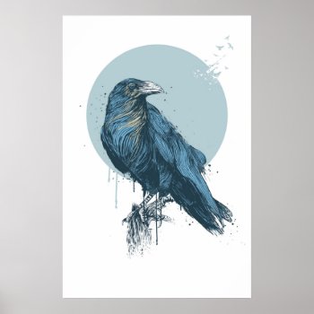 Blue Crow Poster by bsolti at Zazzle