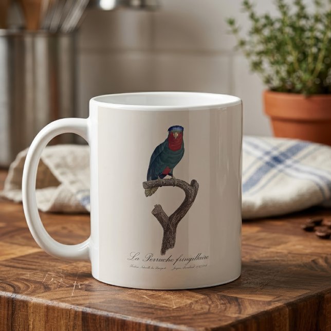 Blue-Crowned Lorikeet, Vini Australis Coffee Mug (Blue-Crowned Lorikeet, Vini Australis. Coffee Mug)