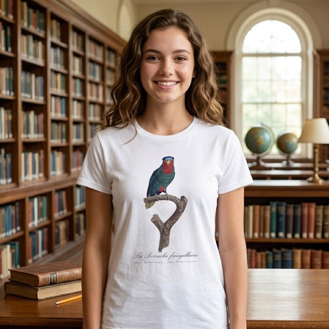 Blue-Crowned Lorikeet, Vini Australis T-Shirt (Blue-Crowned Lorikeet, Vini Australis. Girl Basic White T-Shirt)