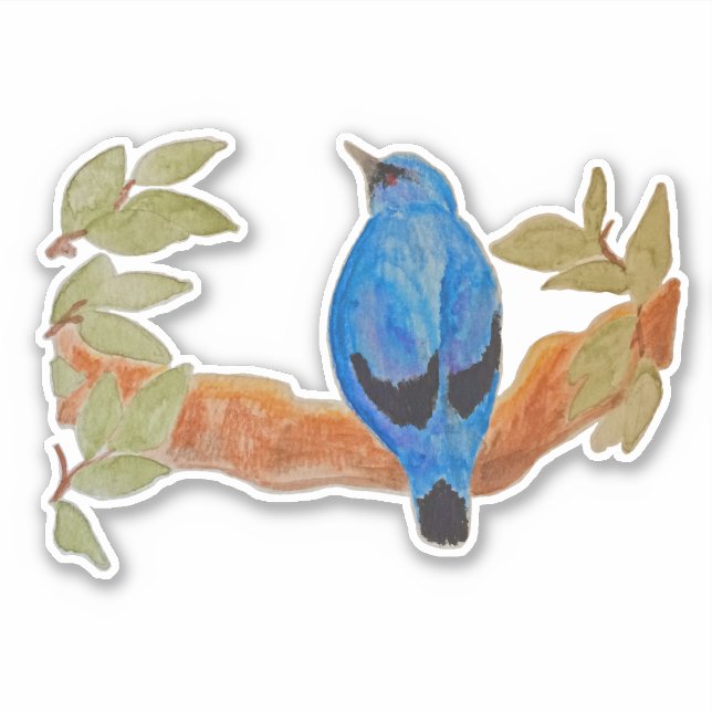 Blue Cuckooshrike Watercolor Bird Sticker (Front)