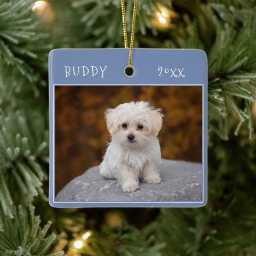 Blue Cute 2 Dog Pet 2 Photos and Names Christmas Ceramic Ornament