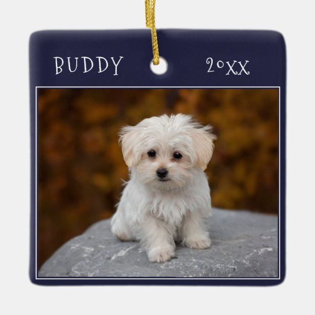 Blue Cute Dog Pet 2 Photos Christmas Ceramic Ornament (Front)