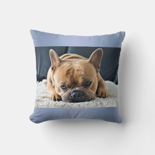 Blue Cute French Bulldog Cushion pillow