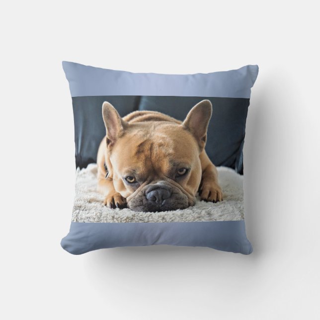 Blue Cute French Bulldog Cushion pillow (Front)