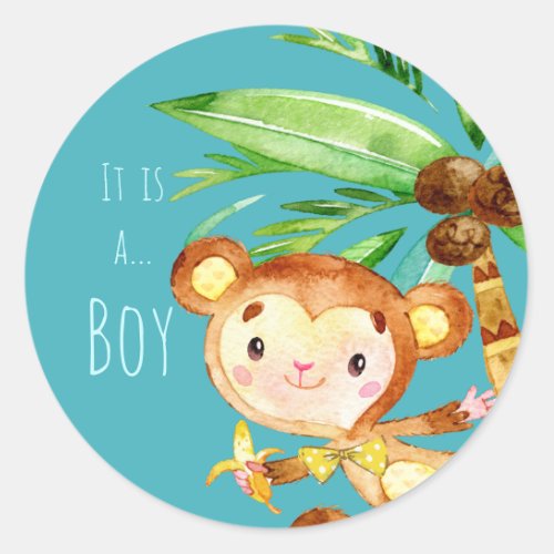 Blue Cute Monkey Baby Boy Announcement Classic Round Sticker