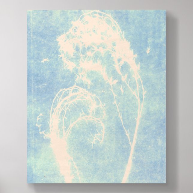 Blue Cyanotype Plant Heart Poster Wood Photo Tile (Front Set)