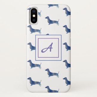 Blue dachshund