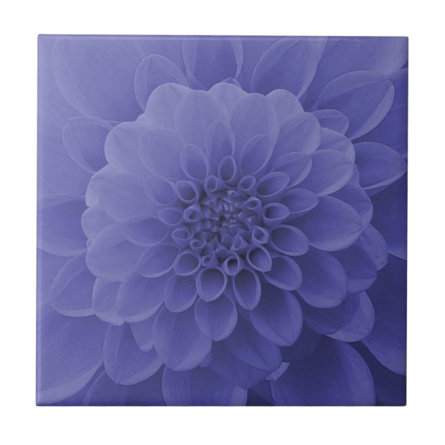 Blue Dahlia Ceramic Tile (Front)