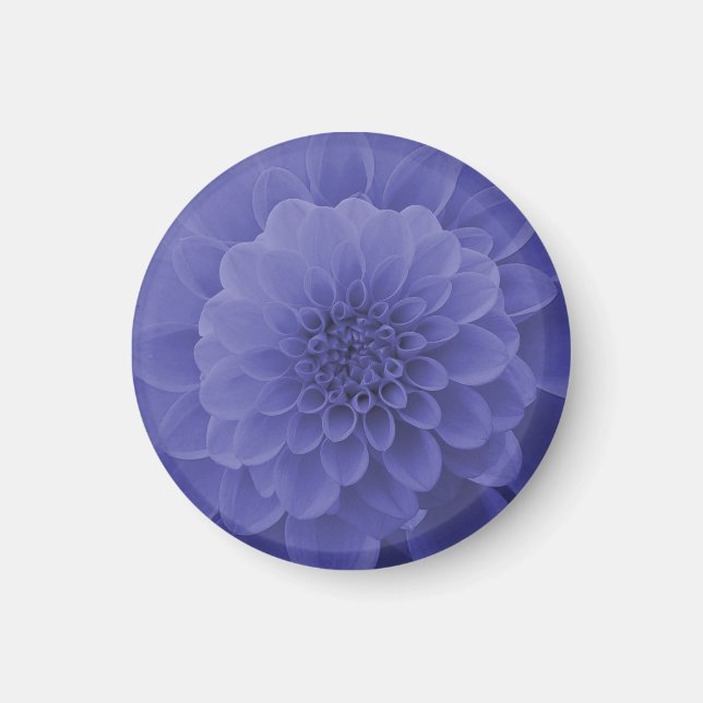Blue Dahlia Magnet (Front)