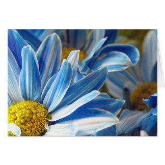 Blue Daises #2 Cards