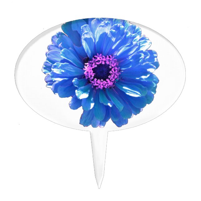 Blue daisy blue floral photo cake topper (Front)