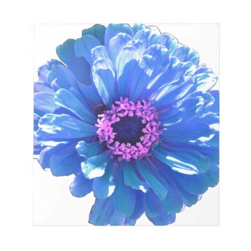 Blue daisy blue floral photo notepad