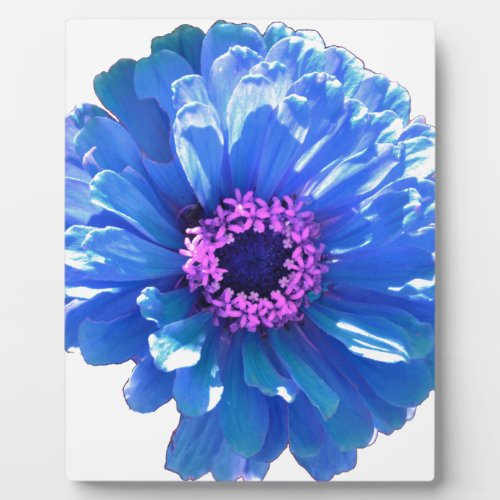 Blue daisy blue floral photo plaque