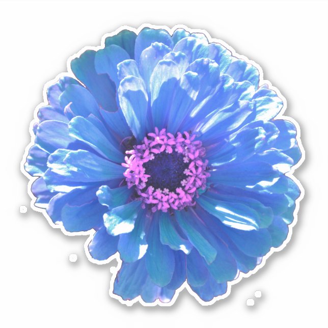 Blue daisy blue floral photo sticker (Front)
