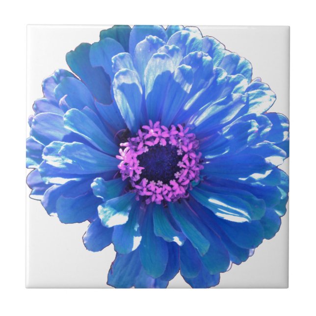 Blue Daisy Ceramic Tile (Front)