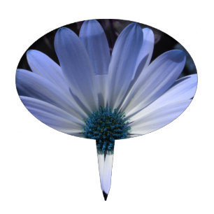 Blue Daisy Flower Cake Pick