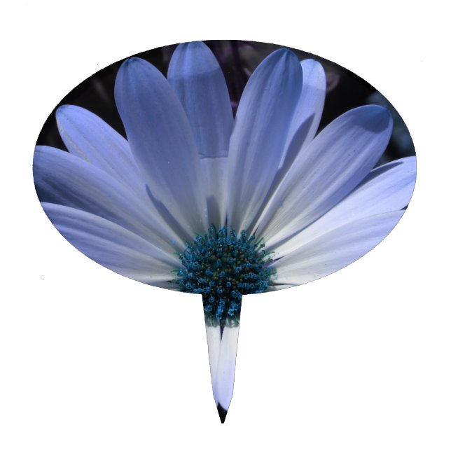 Blue Daisy Flower Cake Pick (Front)