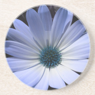 Blue Daisy Flower Coasters