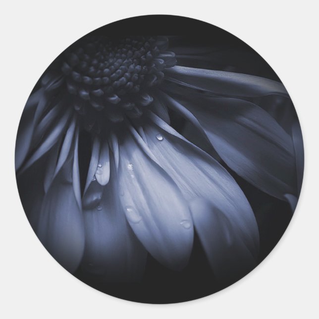 Blue Daisy Flower Stickers (Front)