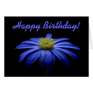 Happy Birthday Daisy Flower Cards, Happy Birthday Daisy Flower Card ...