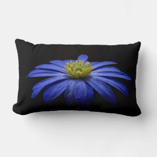 Blue Daisy Gerbera Flower on a Black background Lumbar Pillow