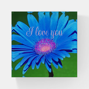 Blue Daisy I Love You Paperweight