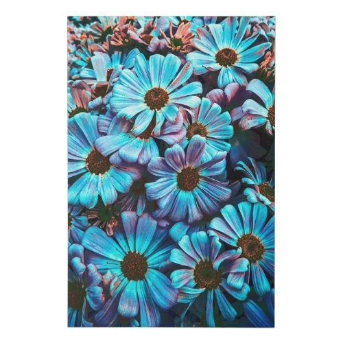 blue daisy in bloom in spring faux canvas print