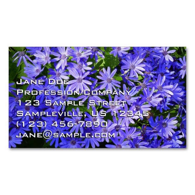 Blue Daisy-like Flowers Nature Photography Business Card Magnet (Front)