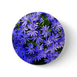 Blue Daisy-like Flowers Nature Photography Button