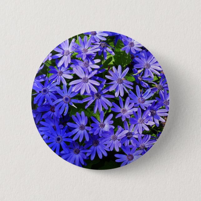 Blue Daisy-like Flowers Nature Photography Button (Front)