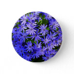 Blue Daisy-like Flowers Nature Photography Button