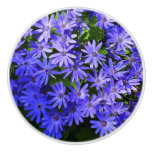 Blue Daisy-like Flowers Nature Photography Ceramic Knob