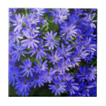 Blue Daisy-like Flowers Nature Photography Ceramic Tile