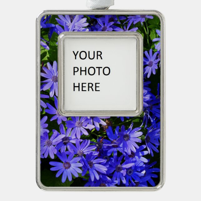 Blue Daisy-like Flowers Nature Photography Christmas Ornament (Front)