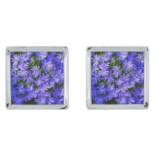 Blue Daisy-like Flowers Nature Photography Cufflinks