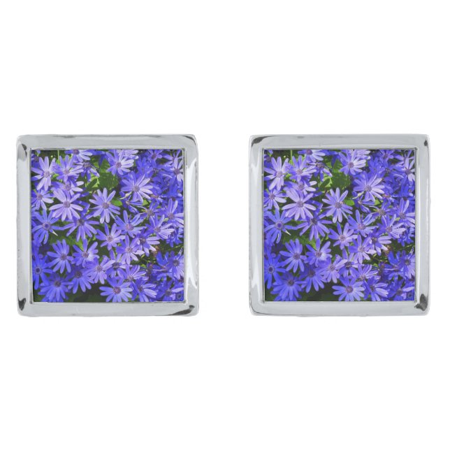 Blue Daisy-like Flowers Nature Photography Cufflinks (Front)