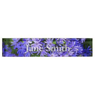 Blue Daisy-like Flowers Nature Photography Desk Name Plate
