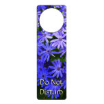 Blue Daisy-like Flowers Nature Photography Door Hanger