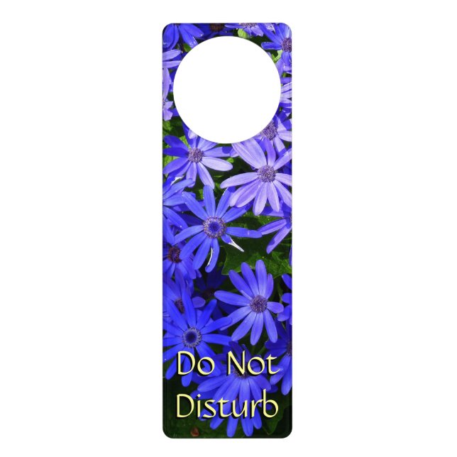 Blue Daisy-like Flowers Nature Photography Door Hanger (Front)