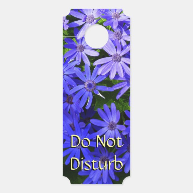 Blue Daisy-like Flowers Nature Photography Door Hanger (Front)